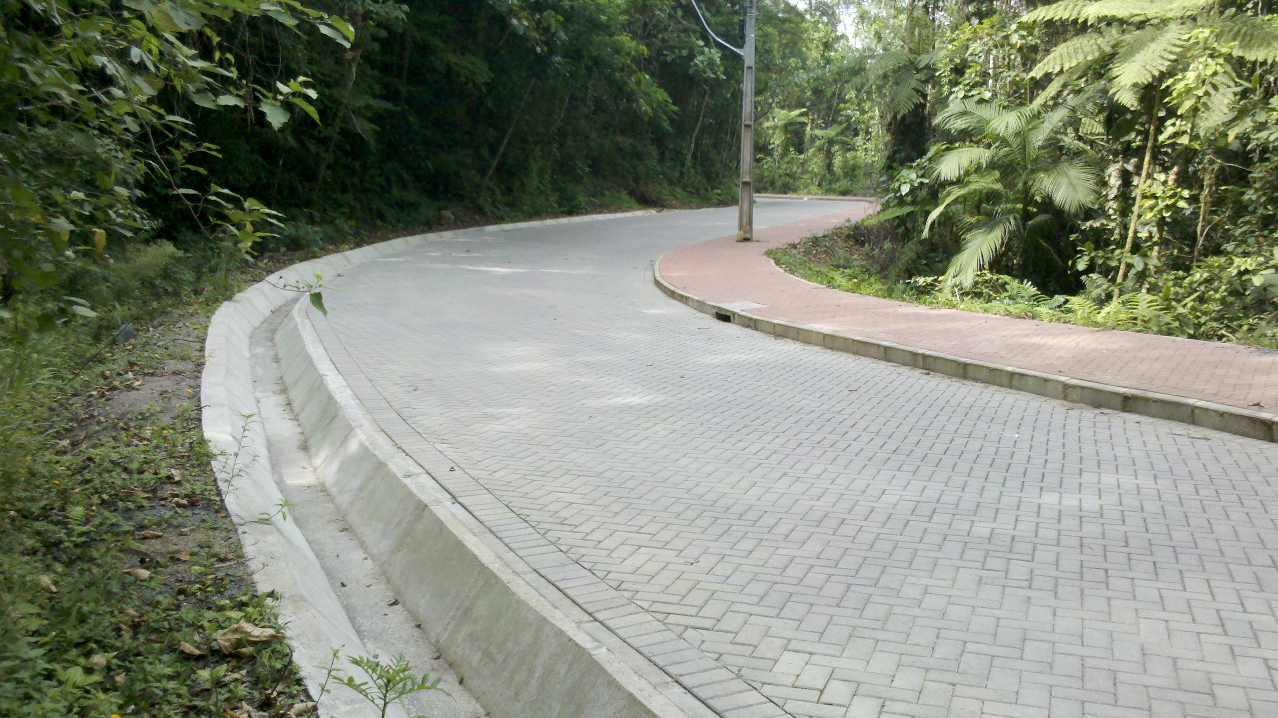 Atendimento Especializado